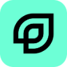 Pong